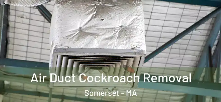  Air Duct Cockroach Removal Somerset - MA