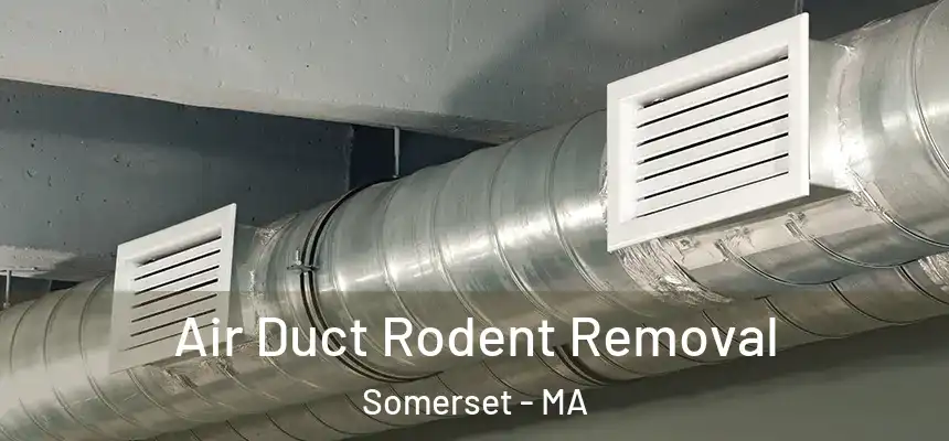  Air Duct Rodent Removal Somerset - MA