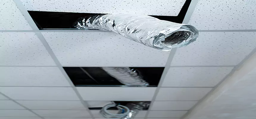 Our Air Duct Pet Hair Removal Services in Somerset, MA