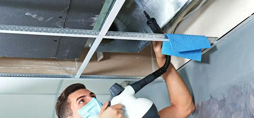 Our Air Duct Rodent Removal Services in Somerset, MA