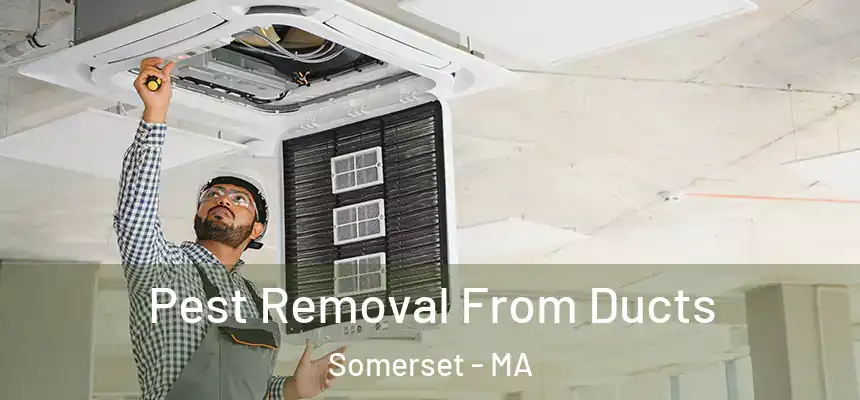  Pest Removal From Ducts Somerset - MA