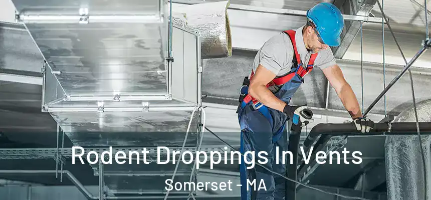  Rodent Droppings In Vents Somerset - MA