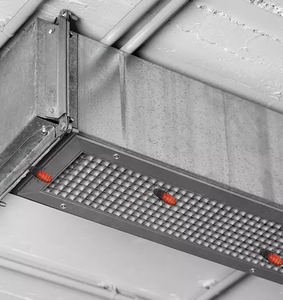 About Air Duct Cockroach Removal in Somerset, MA