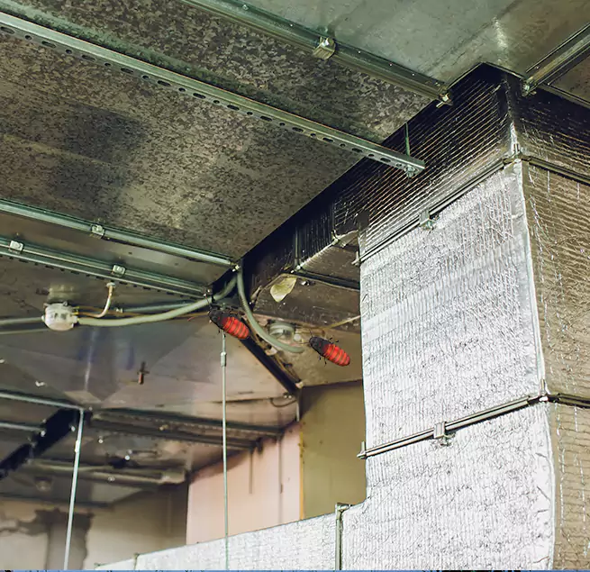 Why Homeowners & Businesses Trust Us in Somerset, MA?