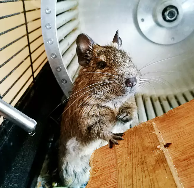 Why Homeowners & Businesses Trust Us Somerset, MA?