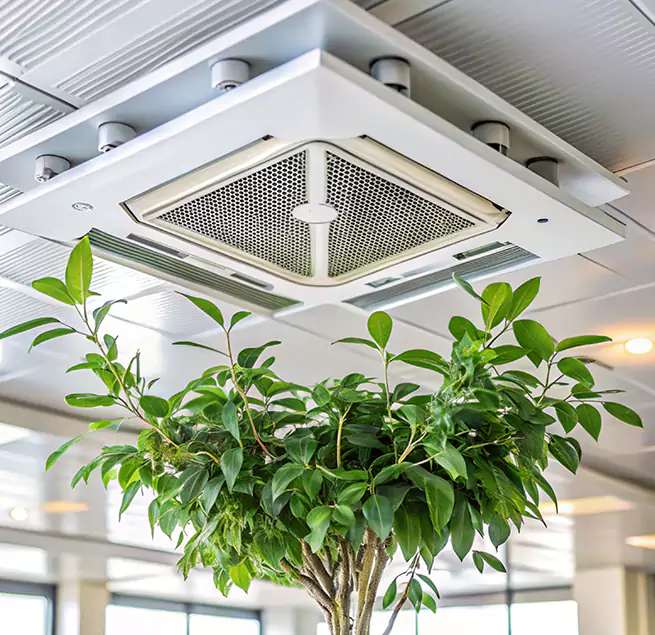 Why Homeowners & Businesses Trust Us in Somerset, MA?